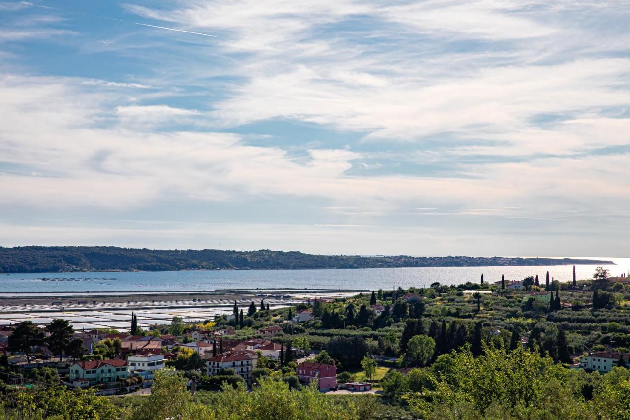Larabella Salt Fields View Studio Πορτορόζ Εξωτερικό φωτογραφία